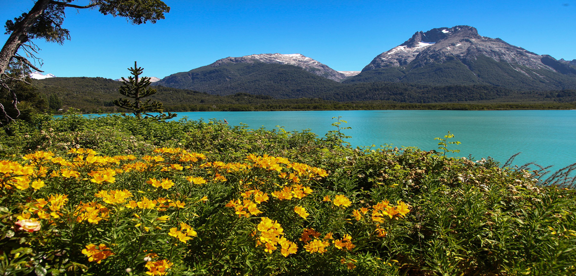 Cerro Tronador - 1