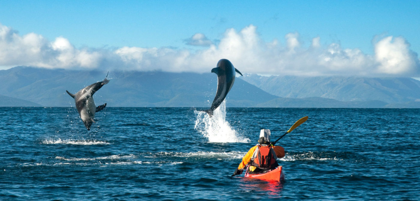 Kayak en el Estrecho de Magallanes - 1