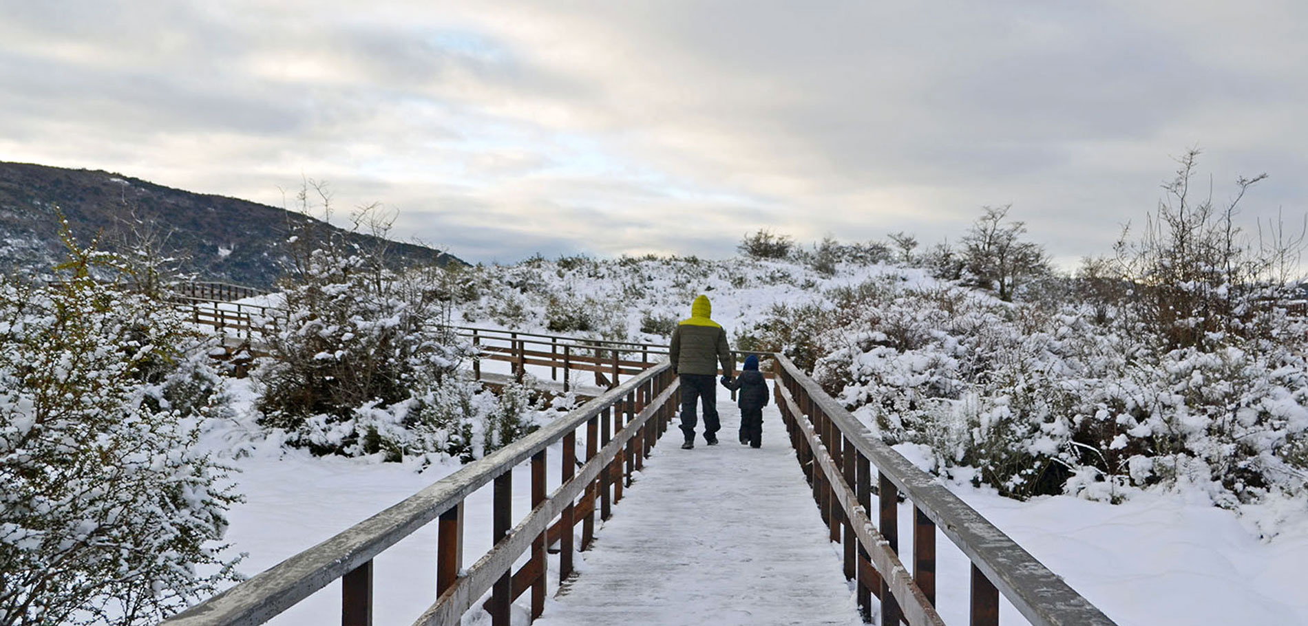 Parque Nacional Invierno