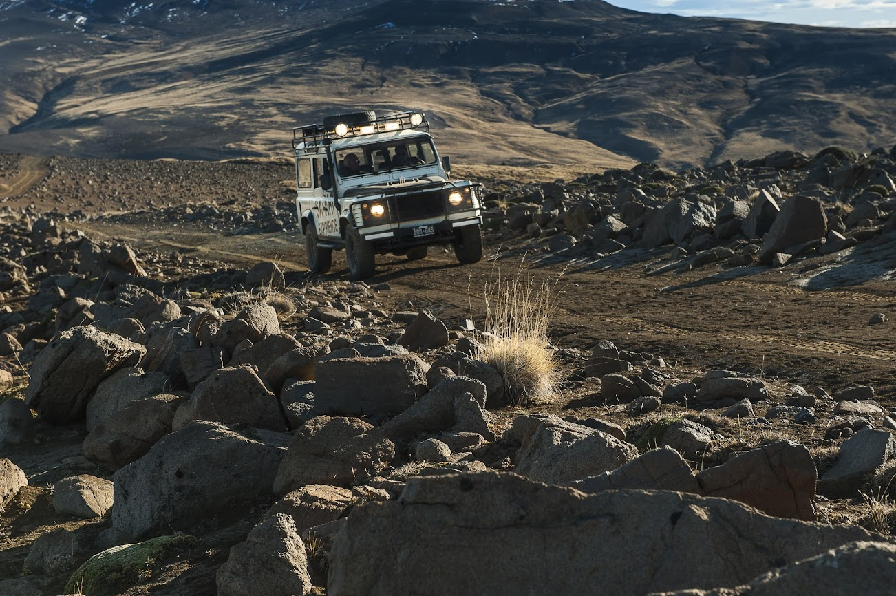 Safari Experience - 1