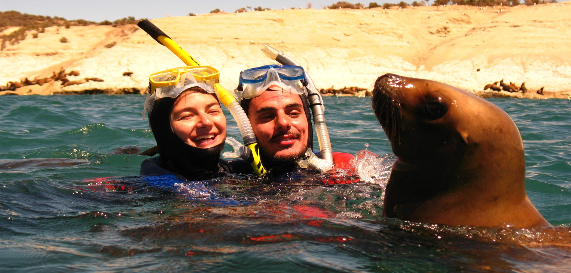Snorkeling con Lobos - 1