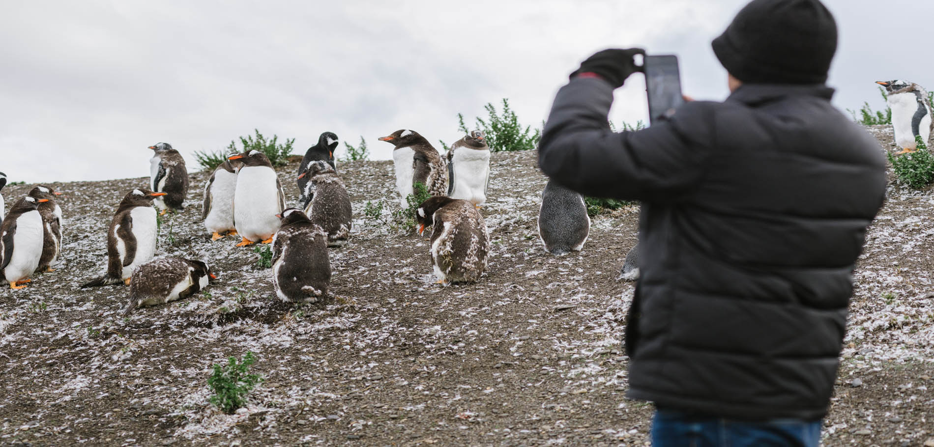 Trekking Pingüinera combinada